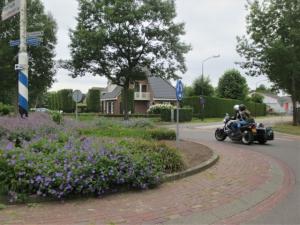 IMG 7358