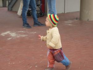 IMG 7391