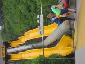 IMG 7403
