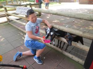 IMG 9185