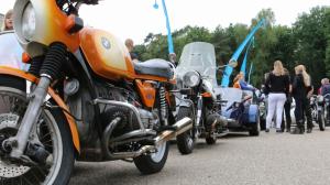 IMG 2081 1024x575