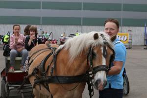 IMG 2160 1024x683
